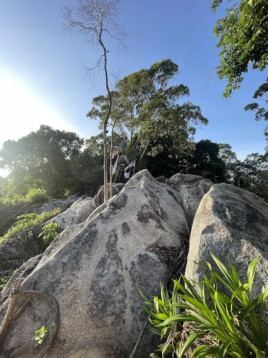 Bukit Gunong Hiking Track Picture 4
