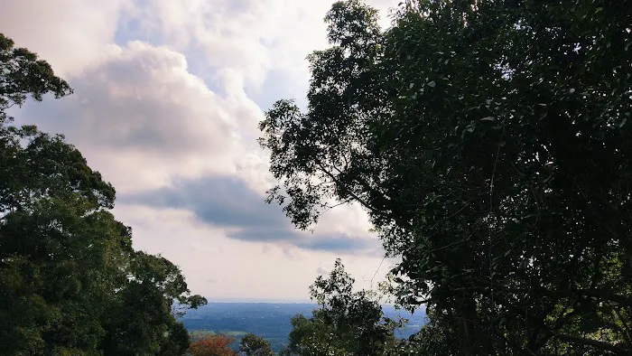 Bukit Gunong Hiking Track Picture 9