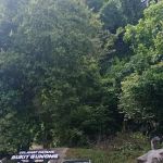 Hiking bukit Gunong