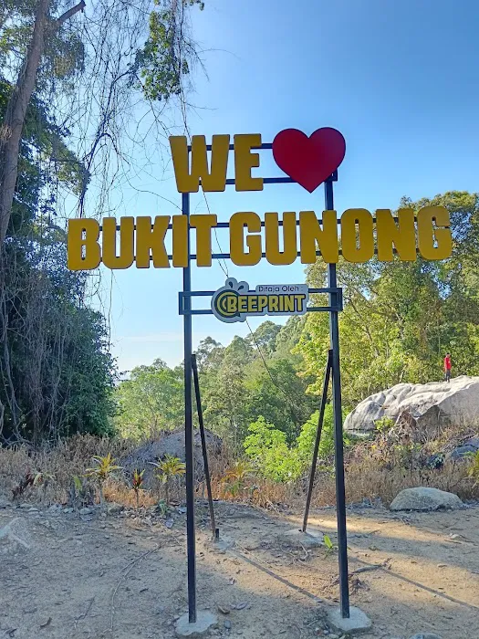 Hiking bukit Gunong Picture 5