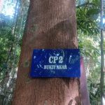 CP 2 BUKIT AKAR
