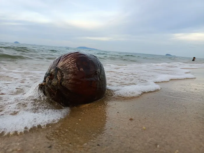 Bisikan Bayu Beach Picture 10