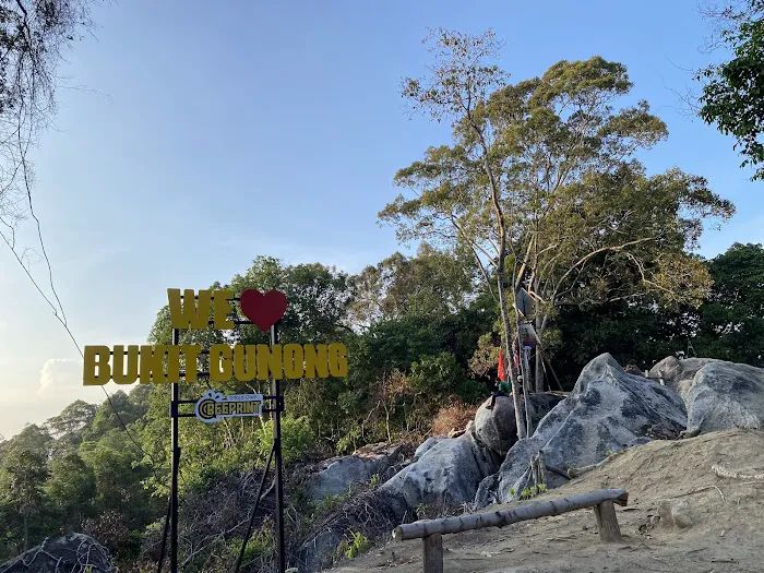 Bukit Gunong / Temalong Picture 2
