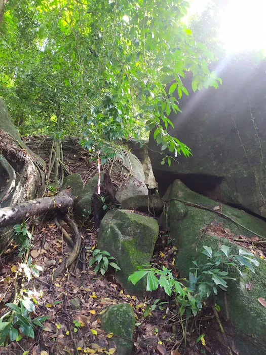 Bukit Gunong / Temalong Picture 9