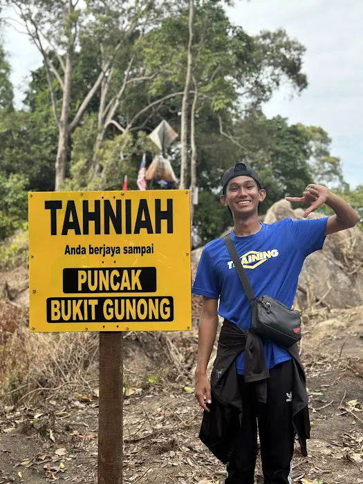 Bukit Gunong / Temalong Picture 6