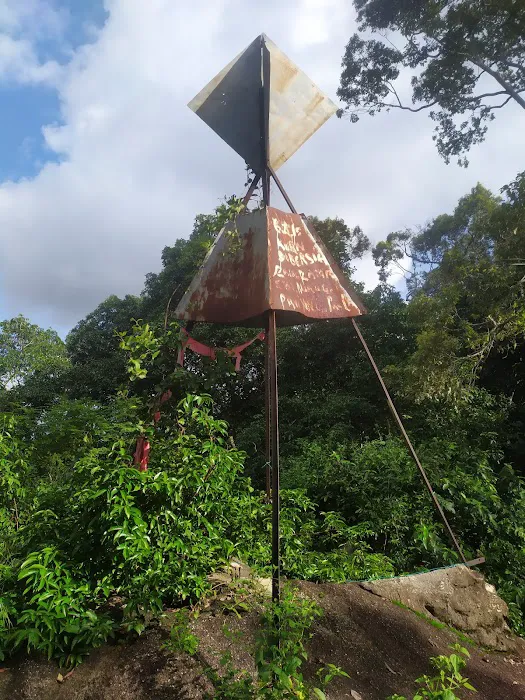 Bukit Gunong / Temalong Picture 7