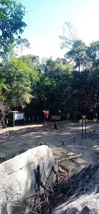 Bukit Gunong / Temalong Picture 4