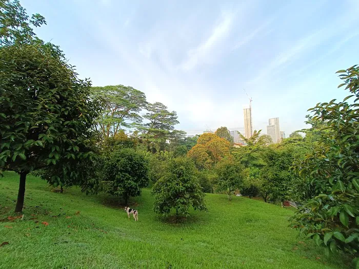 Taman Dusun Bandar Picture 1