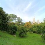 Taman Dusun Bandar