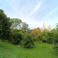 Taman Dusun Bandar ico