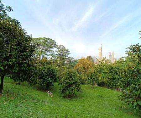 Taman Dusun Bandar