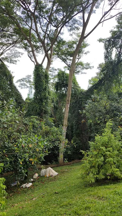 Taman Dusun Bandar Picture 7