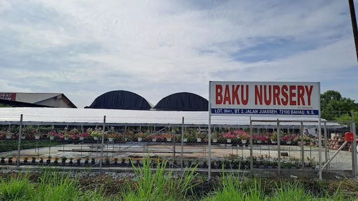 Baku Nursery Picture 6