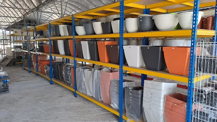 Baku Nursery Picture 5