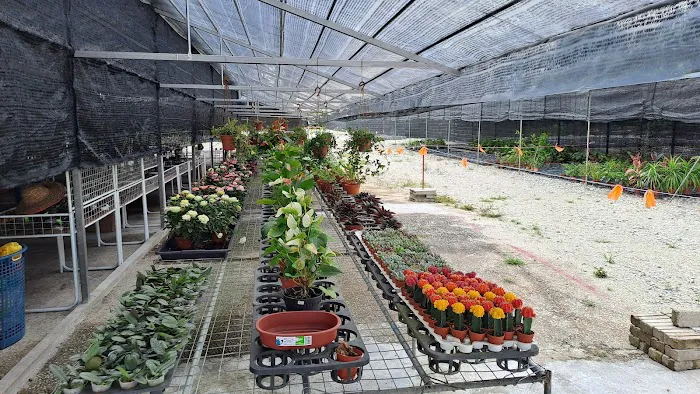 Baku Nursery Picture 4