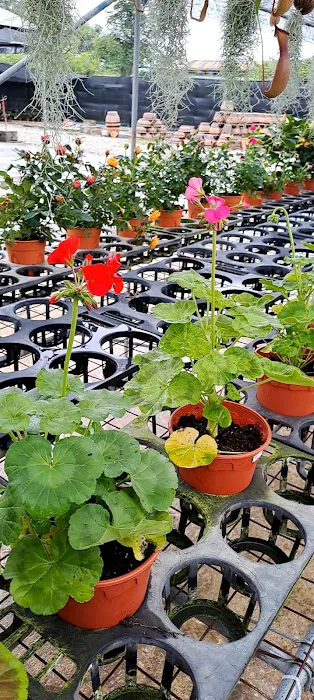 Baku Nursery Picture 2