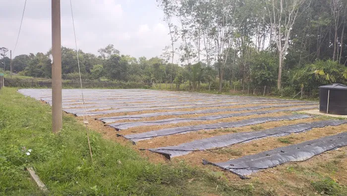 Romah Kkebun Picture 3