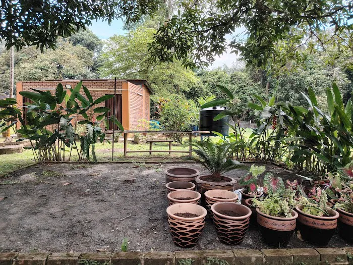 Warisan Campsite Chenor Picture 5