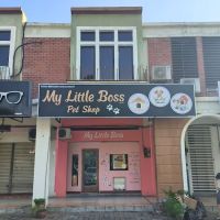 My Little Boss Pet shop ico
