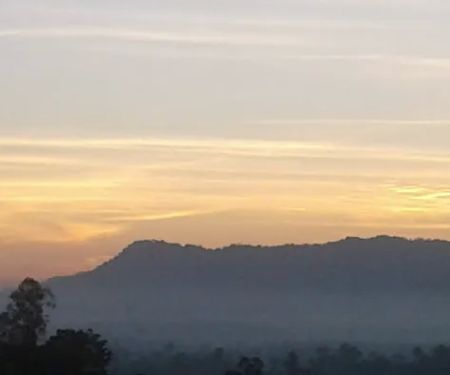 Kebun Durian Belanda