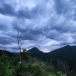Batu Putih Hill - Trail