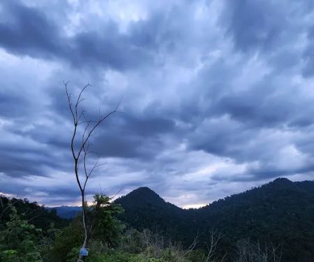 Batu Putih Hill - Trail