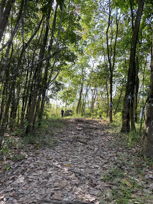 Batu Putih Hill - Trail Picture 6