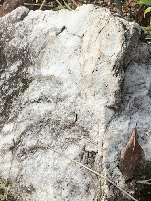 Batu Putih Hill - Trail Picture 3