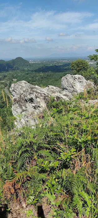 Batu Putih Hill - Trail Picture 4