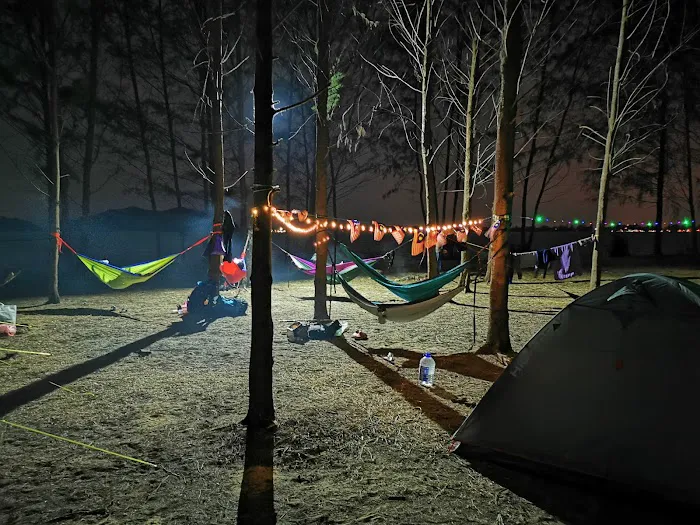 Rhu Island Campsite Picture 5