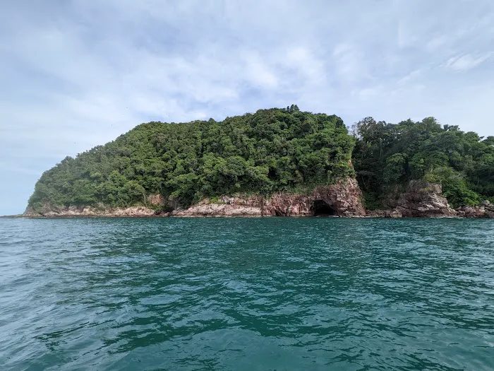 Rhu Island Campsite Picture 7