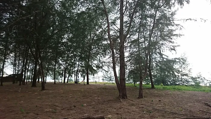Rhu Island Campsite Picture 9