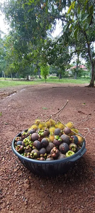 Laman Jajahan Opah Picture 1