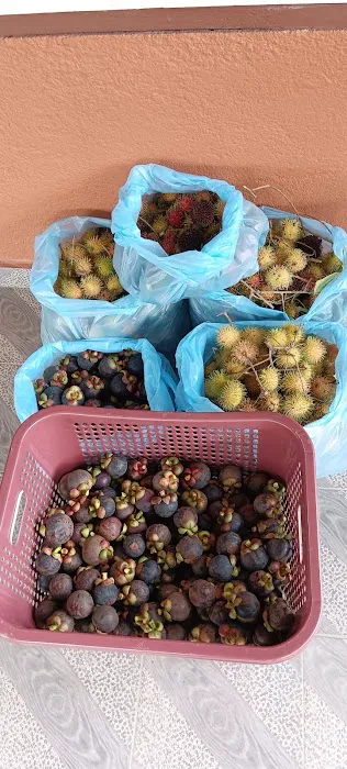 Laman Jajahan Opah Picture 6