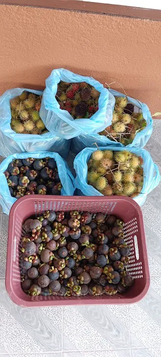 Laman Jajahan Opah Picture 10