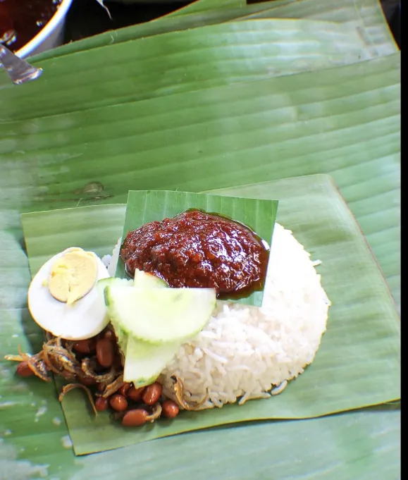 Hunter Burger Station N Nasi Lemak Kukus Picture 6