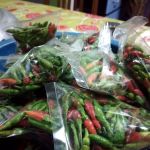 Kebun MFAN