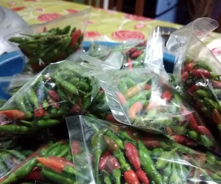Kebun MFAN