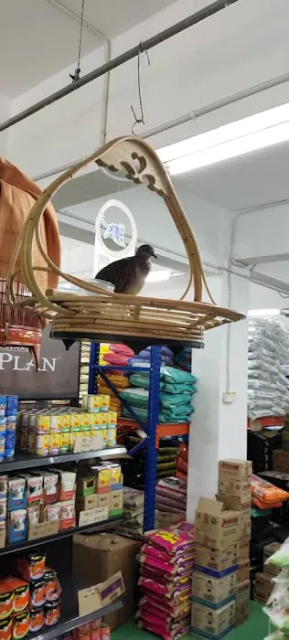 My Cats & Pets Centre Picture 2