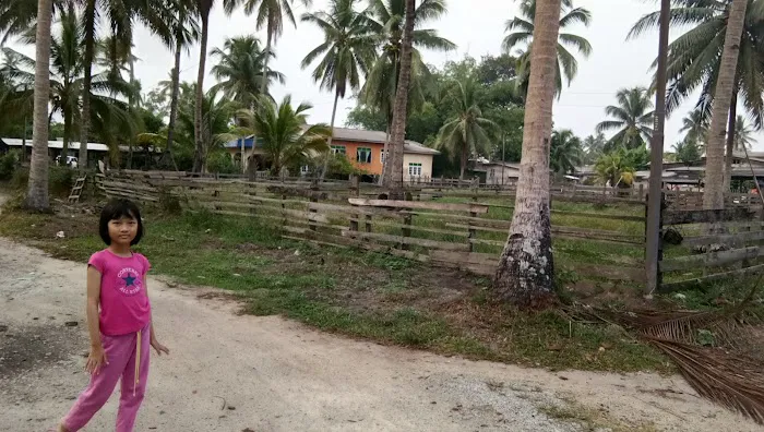 Lot 84890 Kg Gong Sekolah Picture 4
