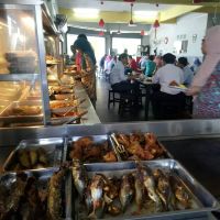 Restoran Fenomena Nasi Ulam Ayam Kampung ico