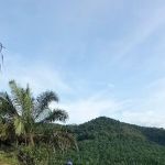 Bukit Menara