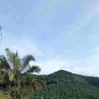 Bukit Menara ico