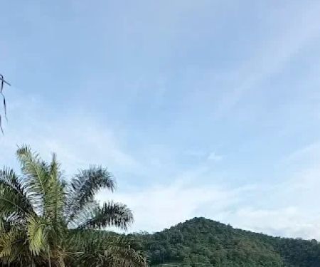 Bukit Menara