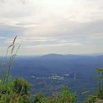Bukit kemasul hiking area