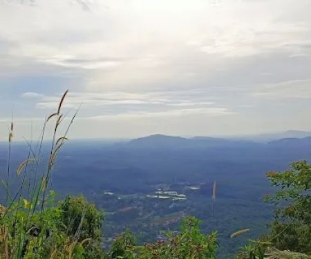 Bukit kemasul hiking area