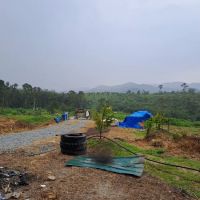 Kebun CHC (Manchis) ico