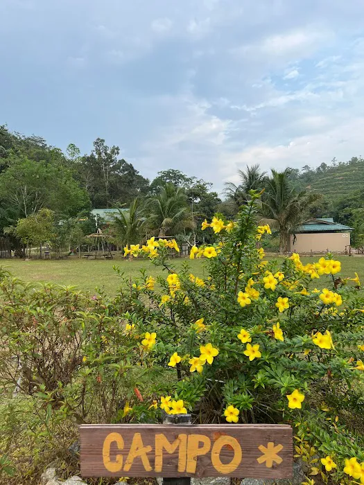 Natura Campground Picture 10