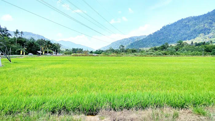 Masjid Ulu Bendul Picture 7