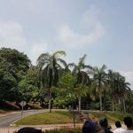 Jalan Istana